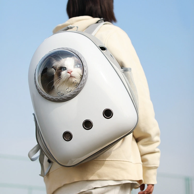Pet bag like school