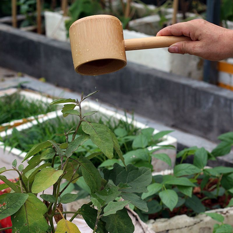 Bamboo With Handle Bamboo Bailer Water Scooping Ladle